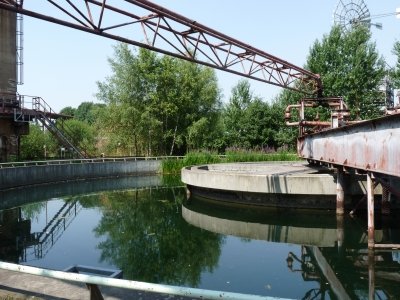 sewage sludge