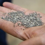 06 Fines non-ferrous metals from IBA