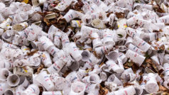 Living in a plastic world: tackling the plastic pollution problem