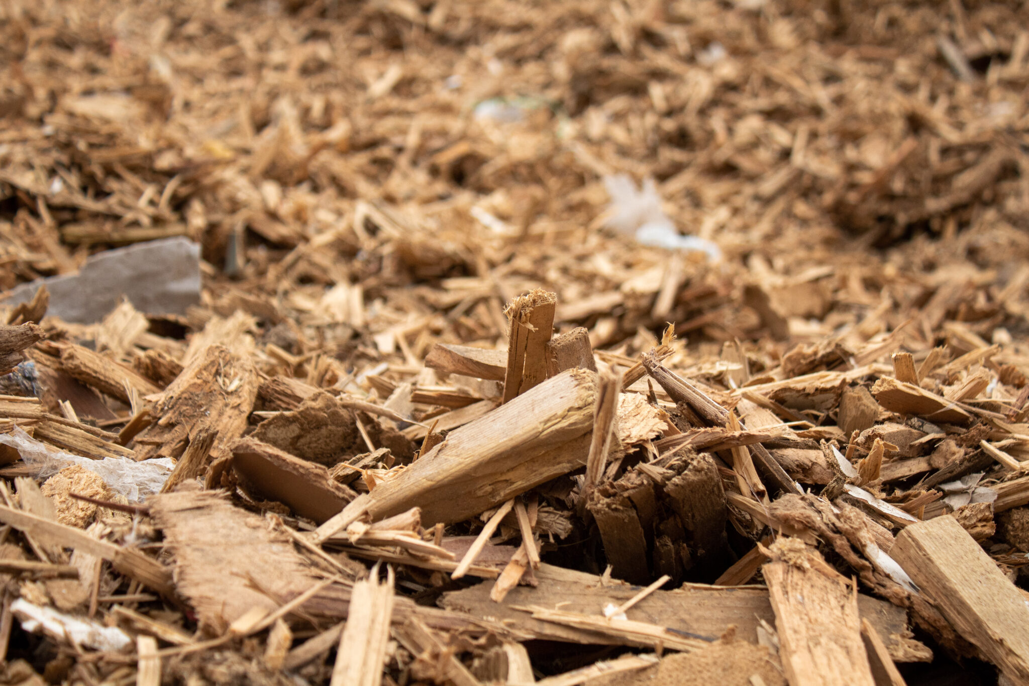 Growing demand for waste wood increases chase for alternative fuels