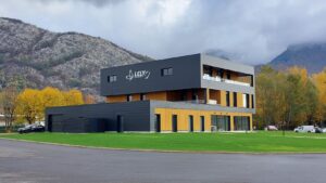 Wood Recycling at Lely Environnement