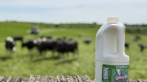 Erema increases efficiency in post-consumer recycling