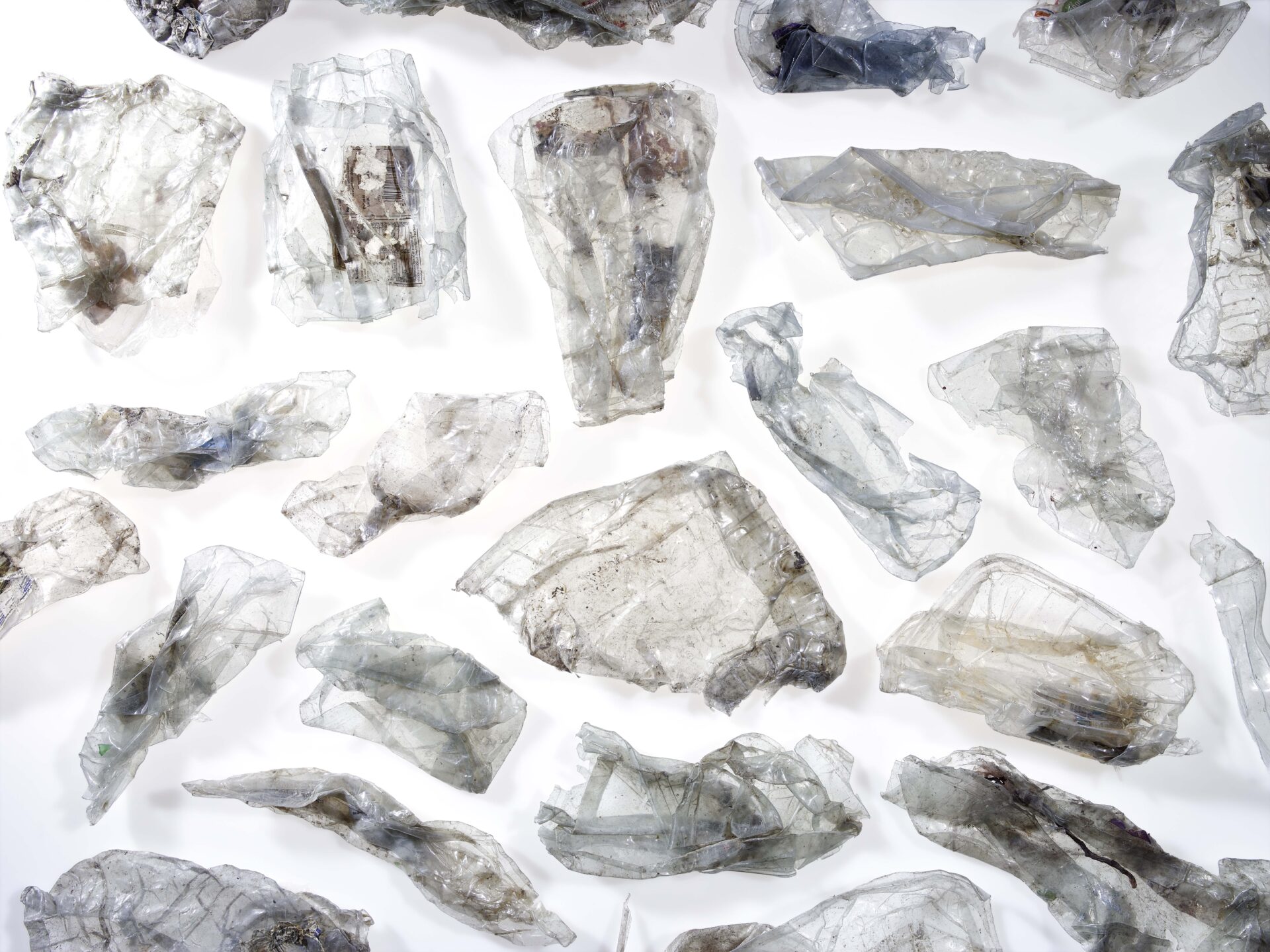 Establishing the tray-to-tray recycling market