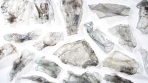 Establishing the tray-to-tray recycling market