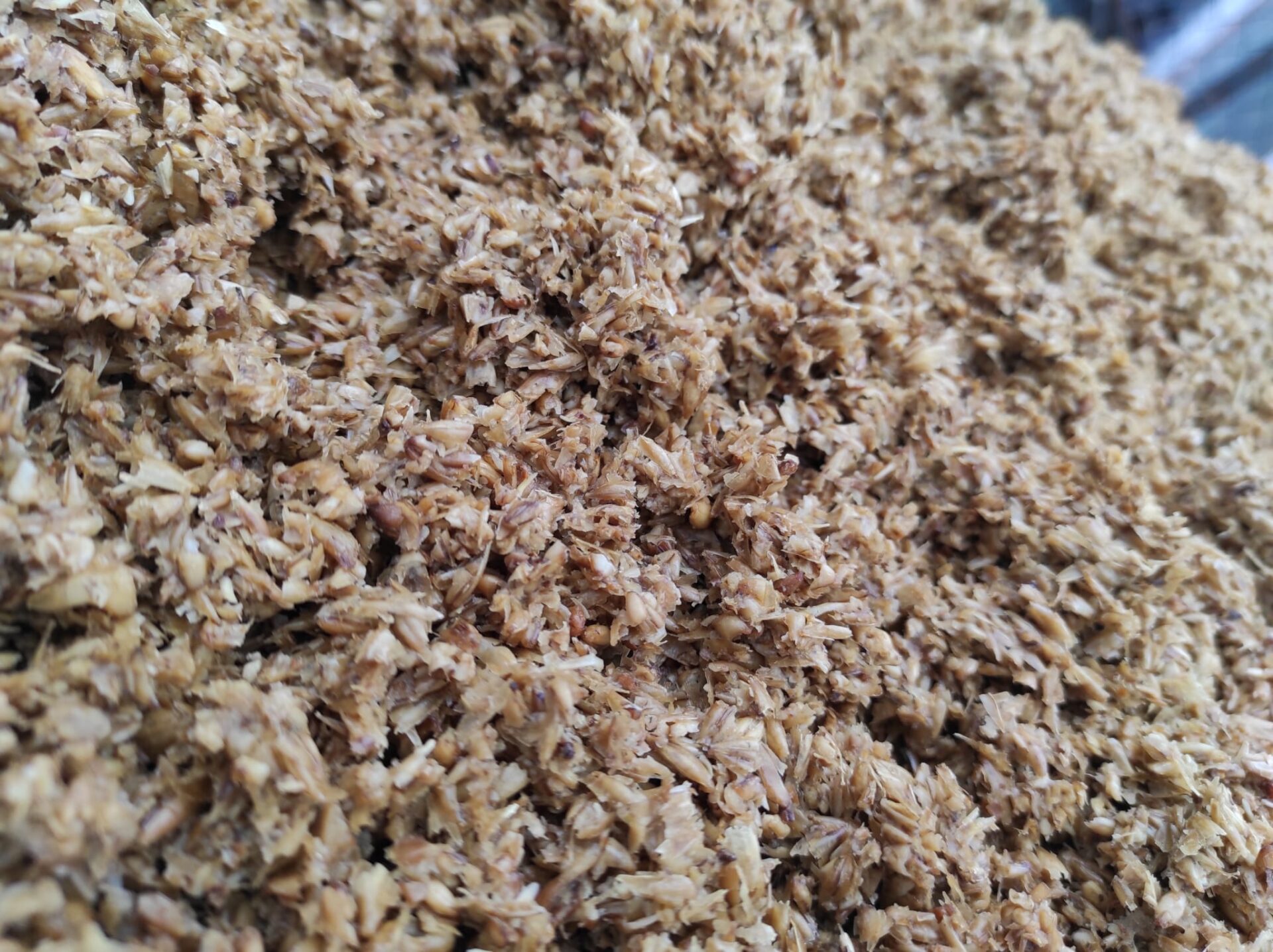 circular packaging from brewery waste