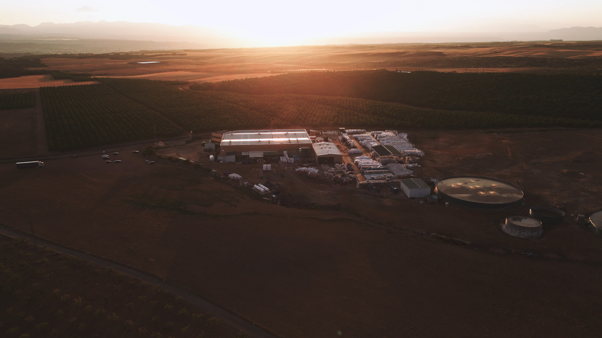 PET tray-to-tray recycling