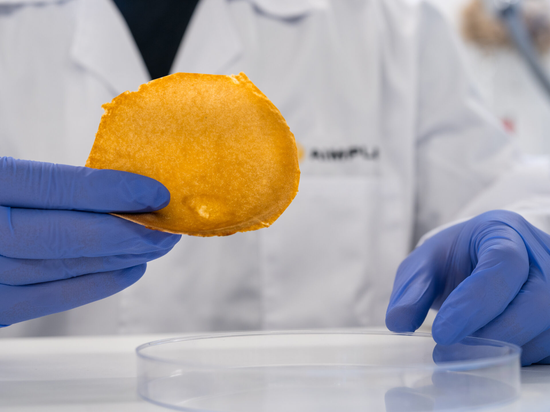 Organic waste to vegan leather